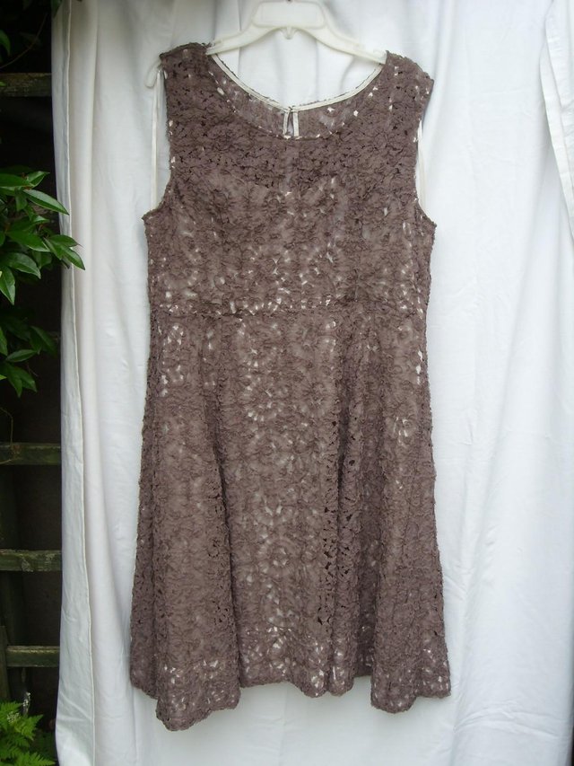 Preview of the first image of PHASE EIGHT Light Brown Lace Dress - Size 18.