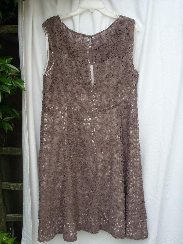 Image 3 of PHASE EIGHT Light Brown Lace Dress - Size 18