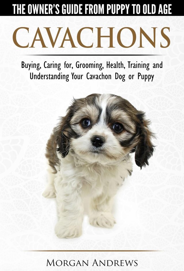 Preview of the first image of Cavachons - The No. 1 Best-Selling Owners Guide....