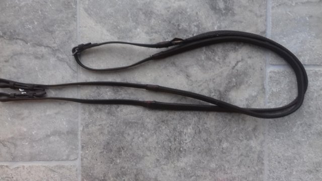 Preview of the first image of RUBBER REINS.