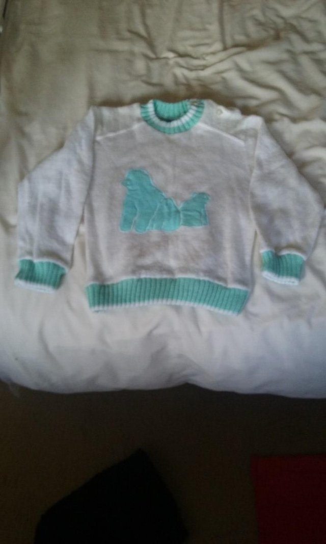 Preview of the first image of girls jumper.