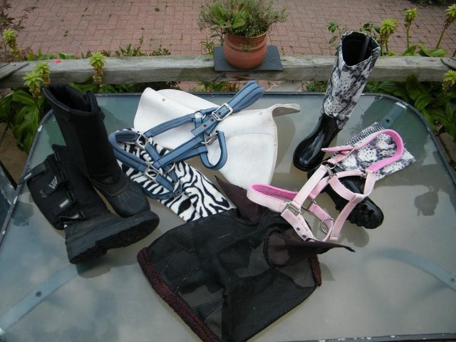 Image 2 of Mucker boots and horsey stuff