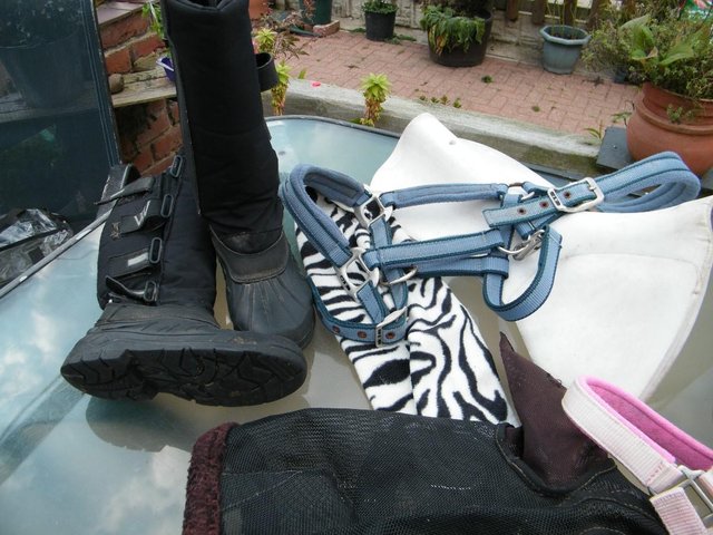 Image 3 of Mucker boots and horsey stuff
