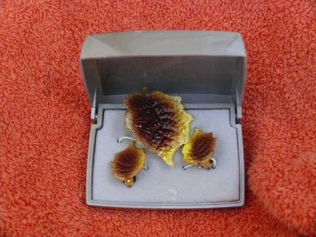 Image 2 of Autumn Leaf shaped broach and matching clip on earrings
