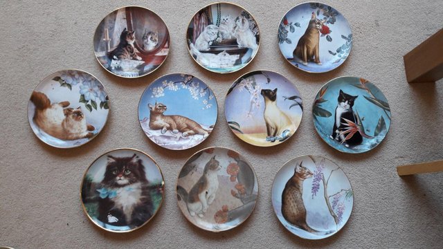 Preview of the first image of 12 cat decorative hanging plates-.