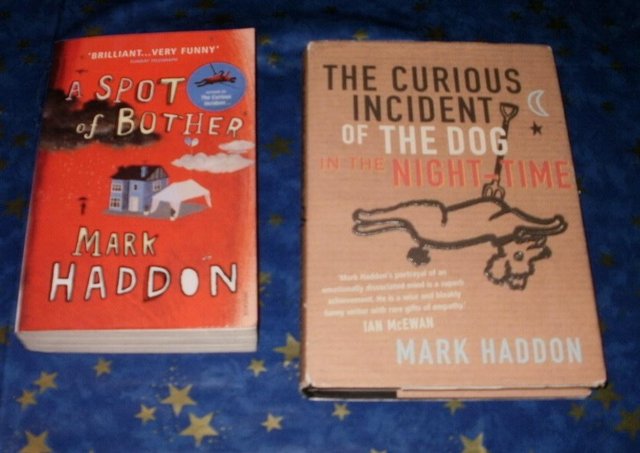 Preview of the first image of X2 books by  Mark Haddon  Curious Incident of The Dog in the.
