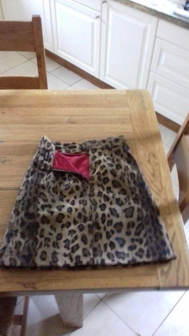 Image 2 of Leapard skin skirt , new never worn