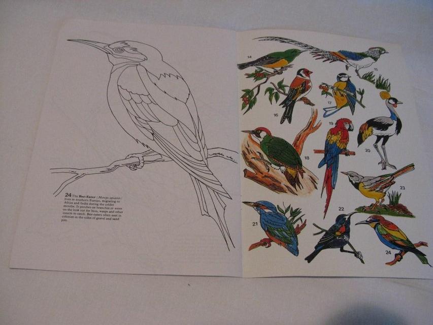 Image 2 of God's Wonderful World of Colouring Book - Birds