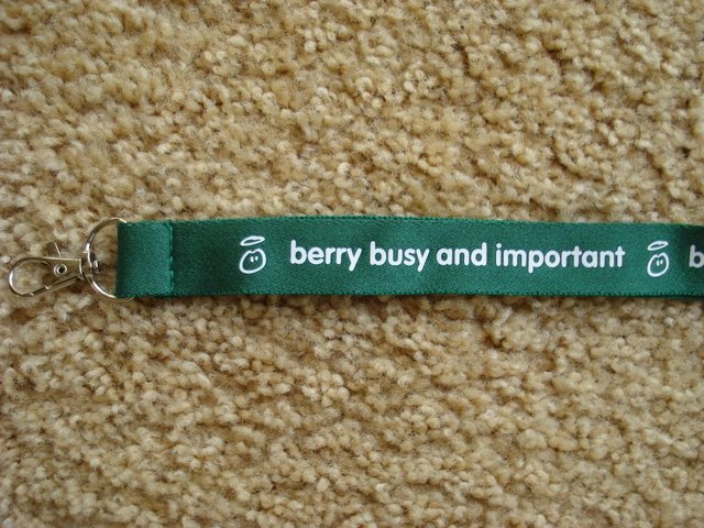 Image 3 of GREEN NECK STRAP/LANYARD FOR PHONE/CAMERA /MP3/KEYS/WHISTLE