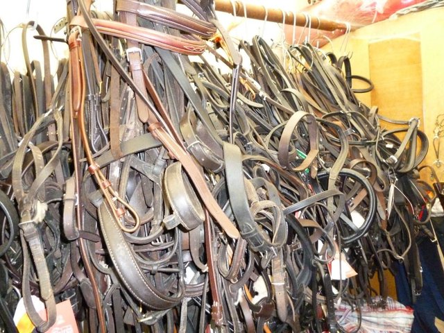 Preview of the first image of English Nosebands,breastplates,martingales bridles.