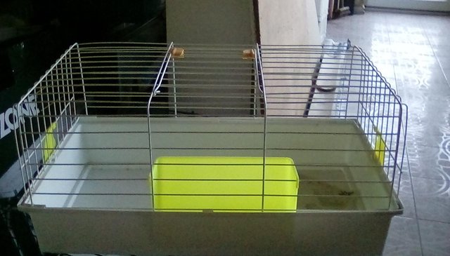 Preview of the first image of This is a brand new Guinea Pig Cage..