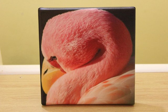 Preview of the first image of Flamingo canvas print - New.