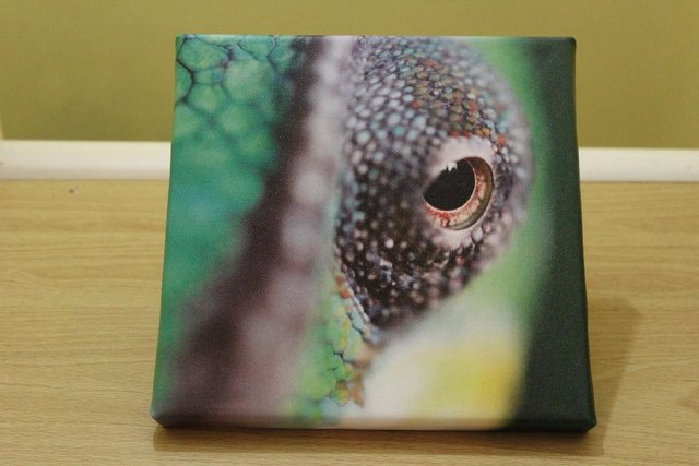 Preview of the first image of Chameleon eye canvas print - New.