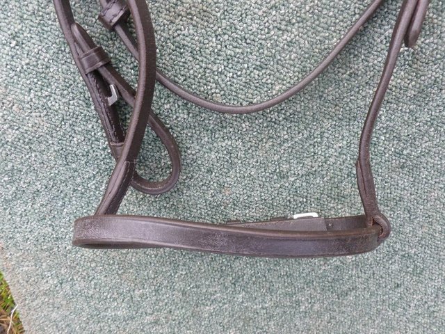 Image 5 of New Shires Aviemore Bridles MIni to XF
