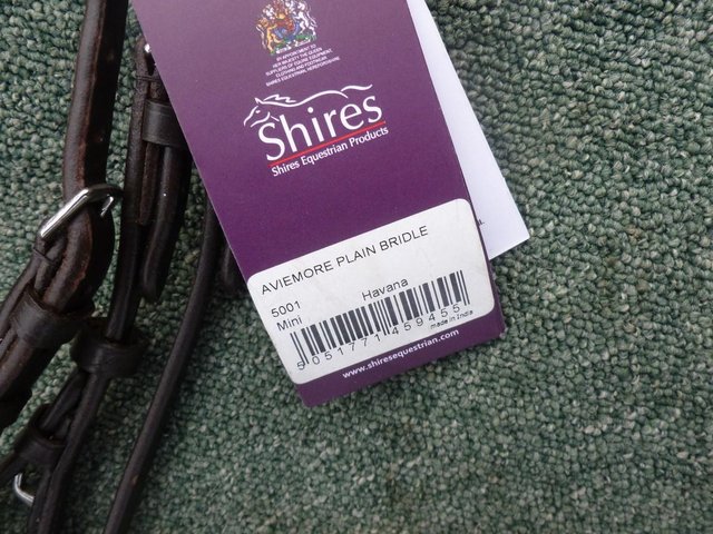 Image 6 of New Shires Aviemore Bridles MIni to XF