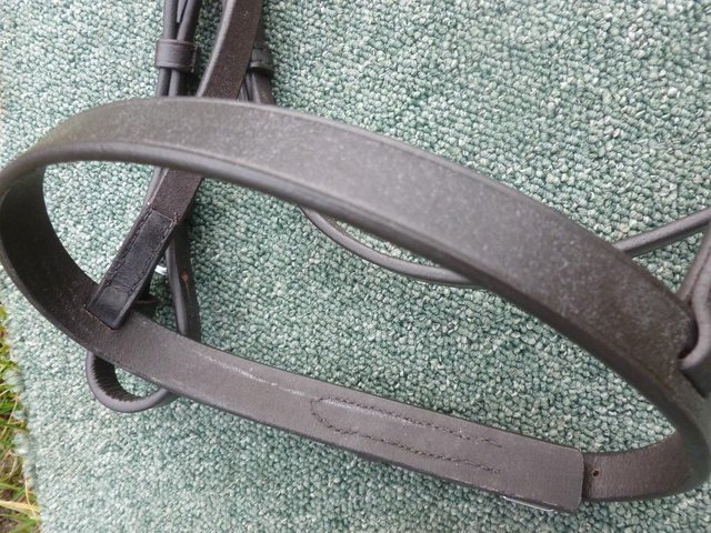 Image 8 of New Shires Aviemore Bridles MIni to XF