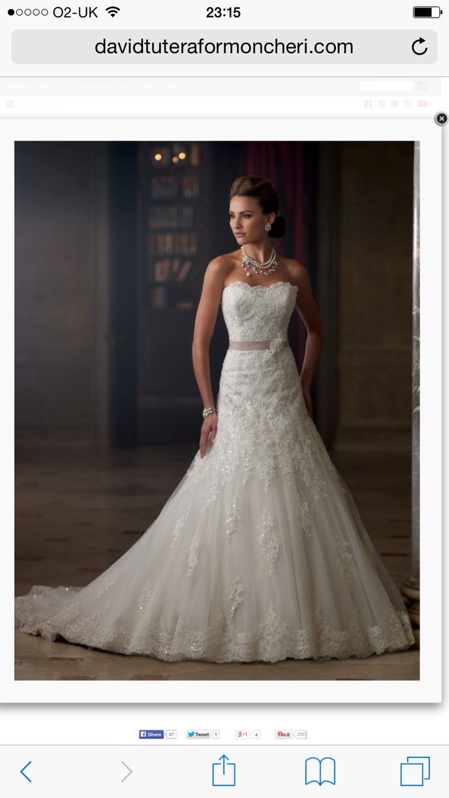 Image 3 of David Tutera- Charlene- Wedding Dress