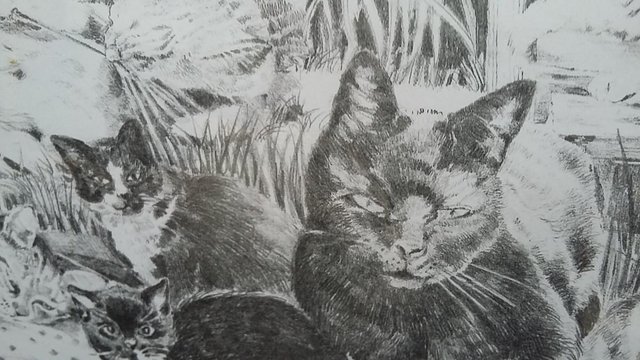 Preview of the first image of Pencil Drawing of Cats, mounted, framed & signed LAB.