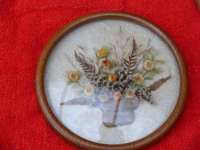 Image 2 of well preserved round domed dried flowers in wooden frame