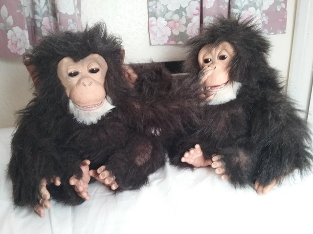 Image 3 of Pair of"Fureal" electronic monkies