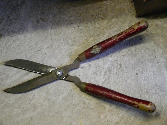 Preview of the first image of Vintage serrated possibly specialist hedging shears.