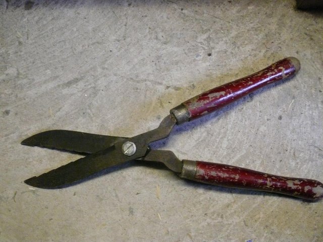 Image 3 of Vintage serrated possibly specialist hedging shears