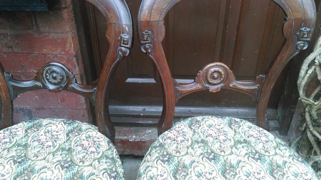 Image 2 of Pair of Beautiful Balloon Victorian chairs