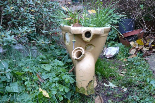 Image 2 of Garden planter, rustic,very old toilet unusual shaped WC pan