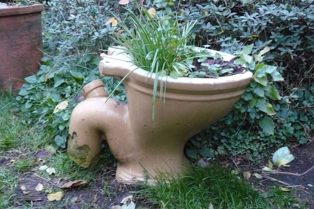 Preview of the first image of Garden planter, rustic,very old toilet unusual shaped WC pan.
