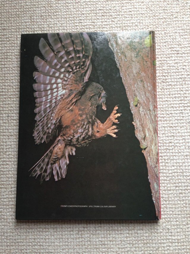 Image 2 of All Colour Book of Birds - Hardback (Cathay Books)