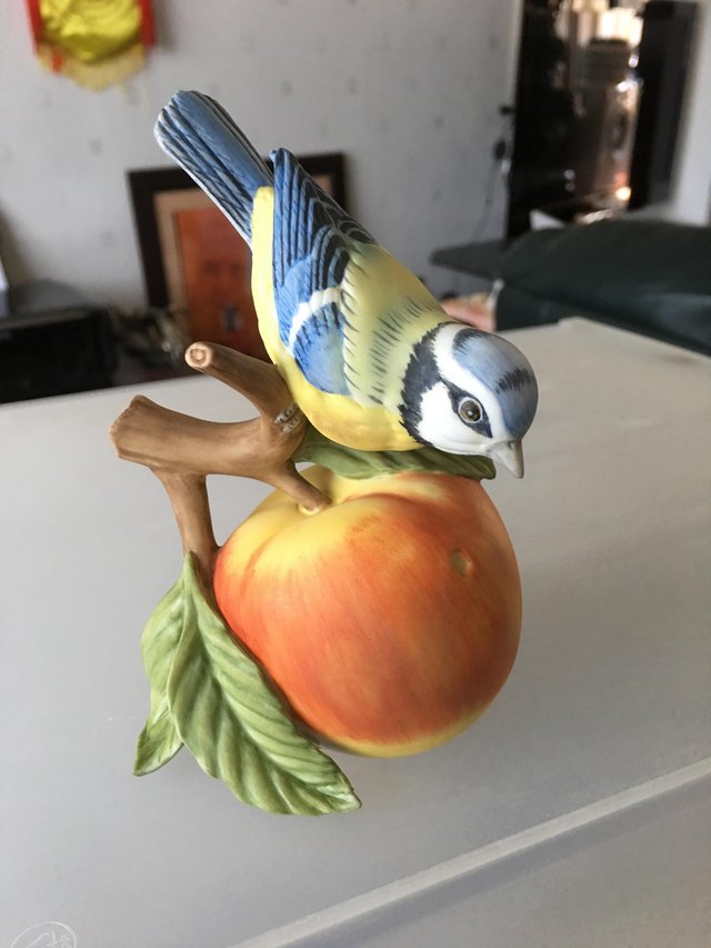 Preview of the first image of Bluebird eating apple.