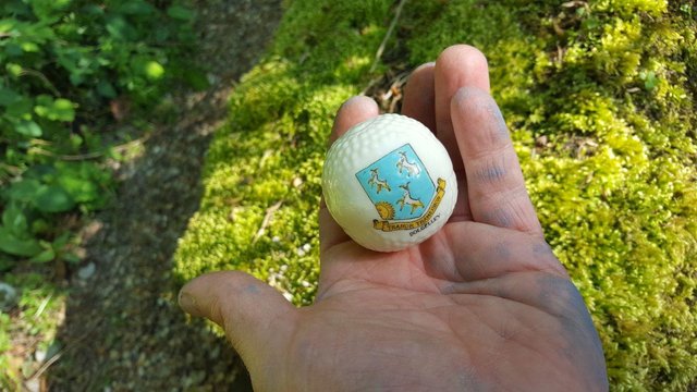 Preview of the first image of Dolgelley crested ware China golf ball.