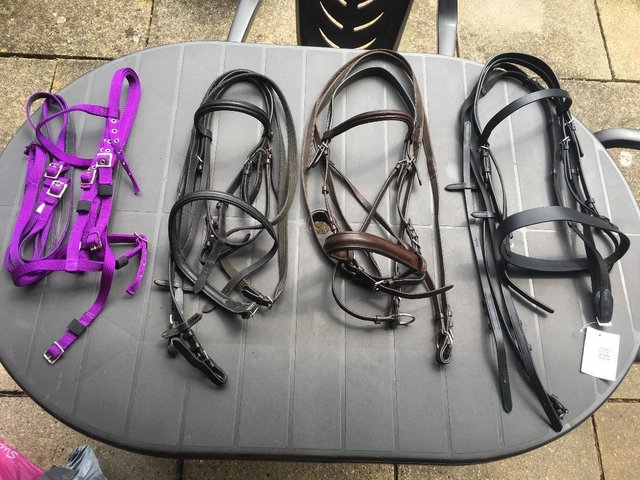 Preview of the first image of Body protectors, Bridles, Bits and Bobs.
