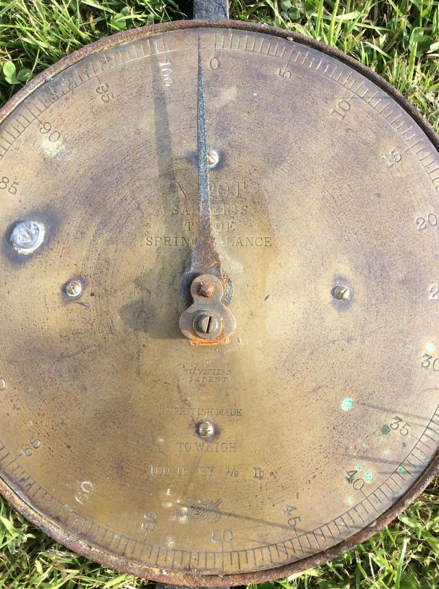 Preview of the first image of Antique Salter Hanging Scales.
