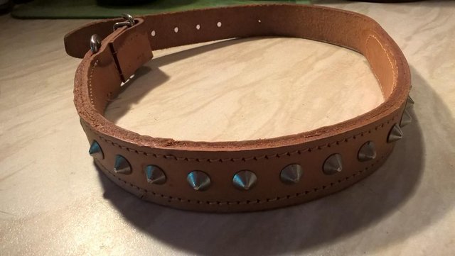 Preview of the first image of dog collar.