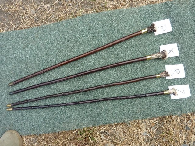 Preview of the first image of Long handcrafted show canes with antler ends.