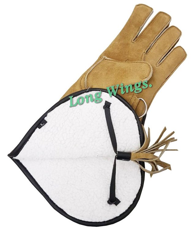 Image 3 of Falconry Suede leather Winter Gloves Wool Lining.