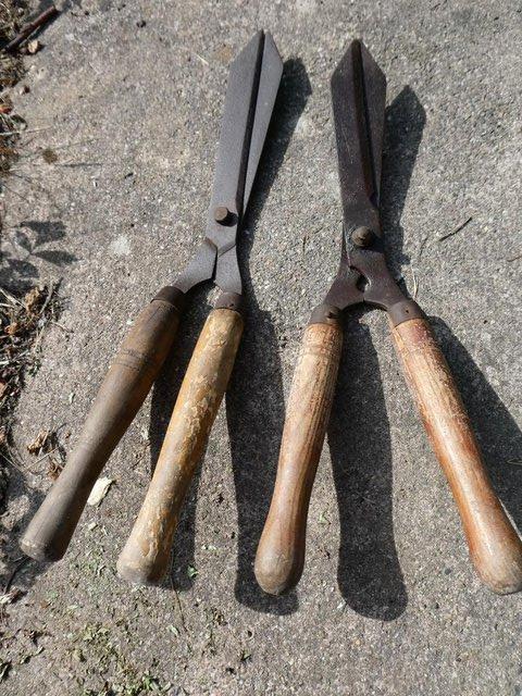 Preview of the first image of Vintage garden shears.