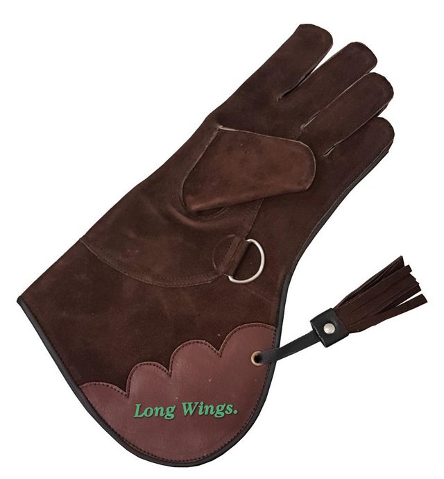 Image 3 of Falconry 2 Layer Suede leather Gloves 35cm long.