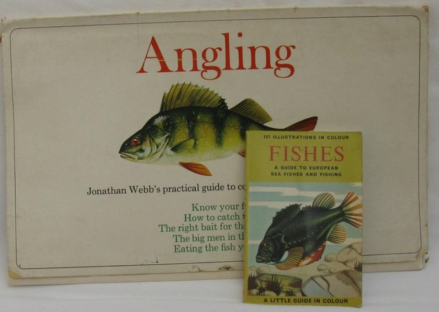 Preview of the first image of Angling & Fishes a guide to sea fishes and fishing.