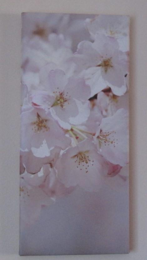 Preview of the first image of Canvas Picture mounted on wood frame, Floral design.