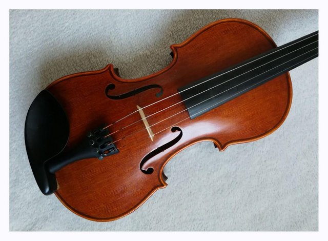 Preview of the first image of Stentor Elysia 4/4 violin - mint condition.
