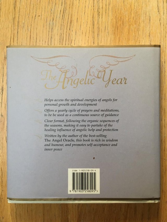 Image 2 of The Angelic Year. Healing Through Angelic meditation