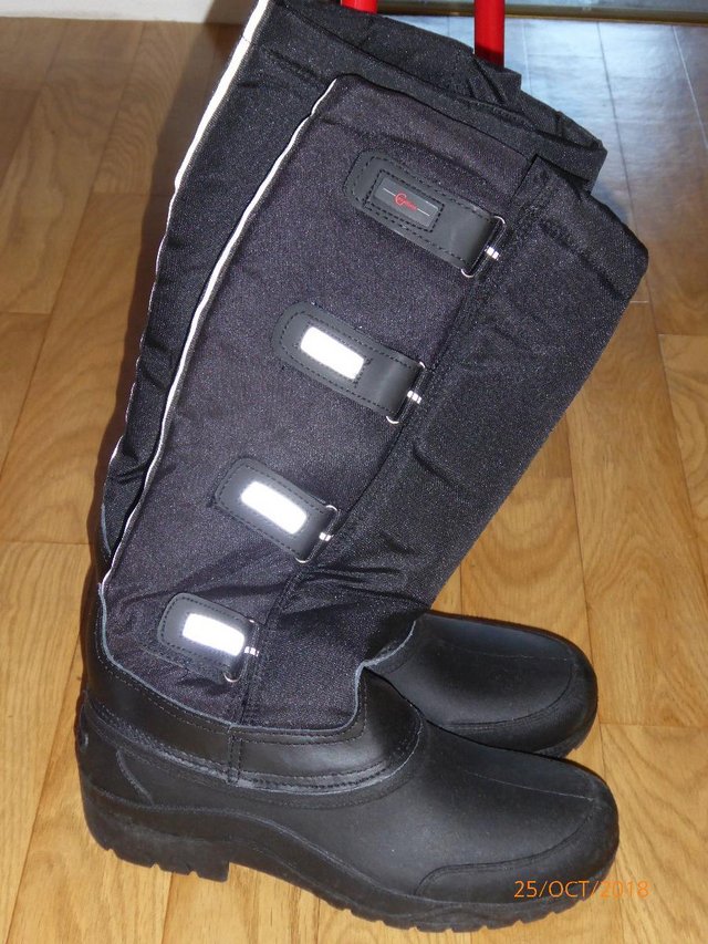 Preview of the first image of Winter Riding Boots.