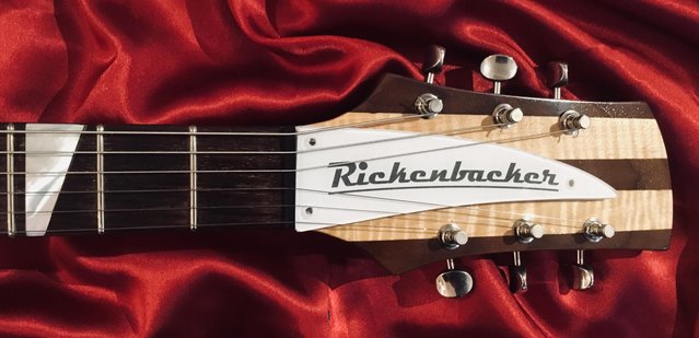 Preview of the first image of Rickenbacker style copy Truss Rod Cover. Used. Free post.