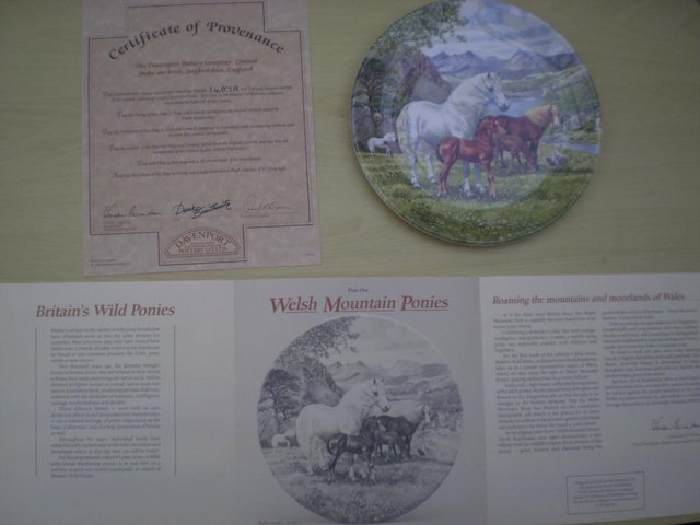Preview of the first image of BRITAIN`S WILD PONIES - PLATES.