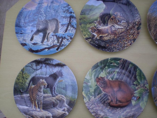 Preview of the first image of GREAT CATS OF THE AMERICAS - 8 PLATES.