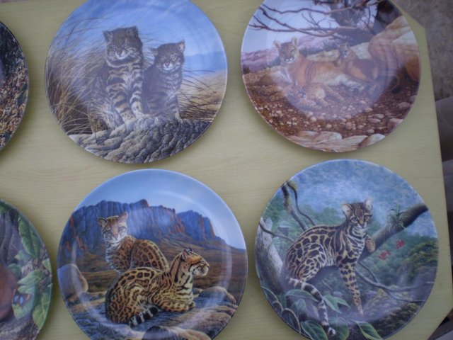 Image 2 of GREAT CATS OF THE AMERICAS - 8 PLATES