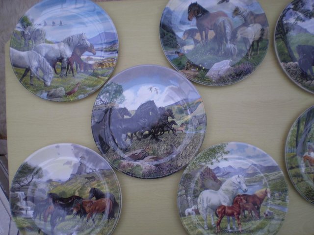 Preview of the first image of BRITAIN`S WILD PONIES - 9 PLATES.