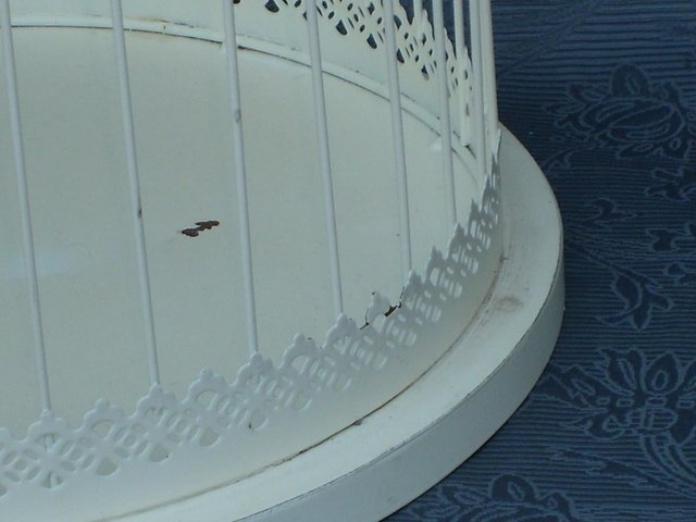 Image 3 of Large Decorative Cream Metal Bird Cage